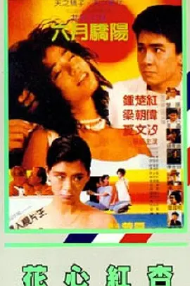 粉色窗帘房的堂姐